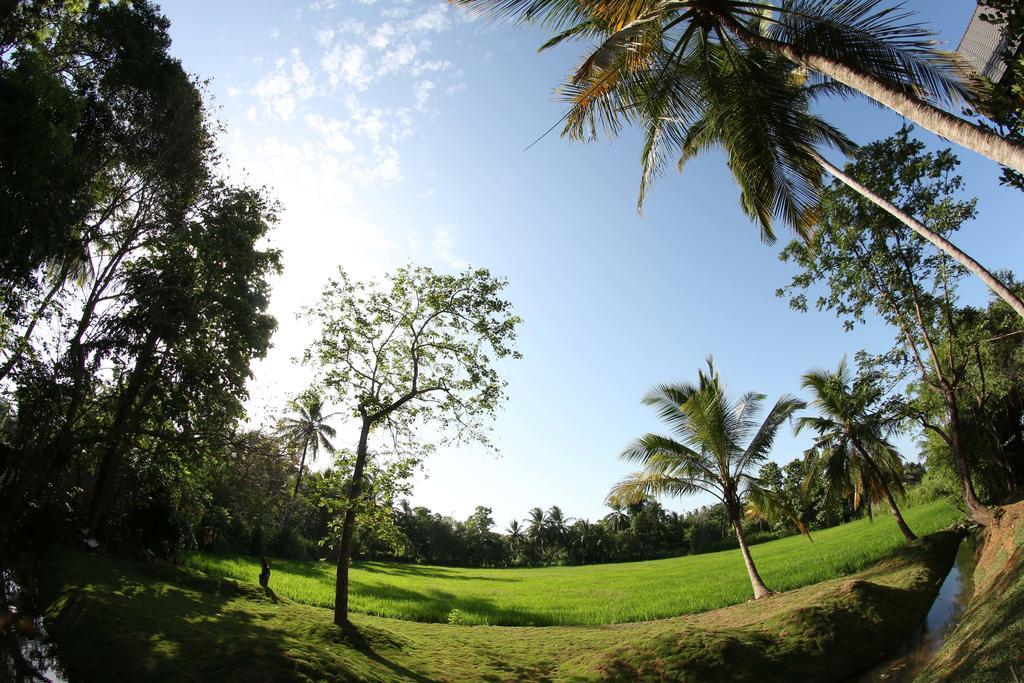 Miracle Resorts & Villas Polonnaruwa Exterior foto